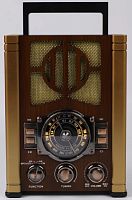 Колонка портативная FM NS-6619BT