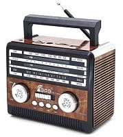 Радиоприёмник Fepe FP-1360U (USB)