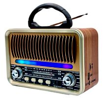 Колонка портативная FM NS-7069BT