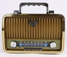 Колонка портативная FM 1909BT
