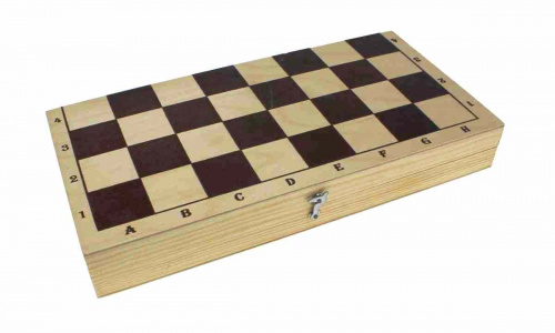 Шахматы в коробке (обыкновенные) фото 2