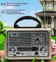 Колонка портативная FM Benef BF-21