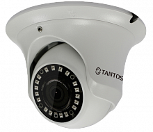 Камера IP 2 Мп купольная IP66 антивандальная (3.6) с ИК подсветкой TSi-Ee20FP