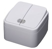 Выключатель 2-кл ОП 10А IP20 с подсветкой белый PSW10-32-20