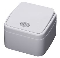 Выключатель 1-кл ОП 10А IP20 с подсветкой белый PSW10-31-20